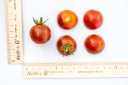 Томат Бурый Коктейль - Партнер фото 7