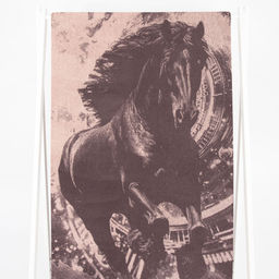 Полотенце махровое 6с102.411ж1 Бег времени(т.с.мальв1) 67х150см