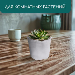 Цена за 36 шт. Горшок для рассады, 250 мл, d=7 см, h=8 см, пластик, белый