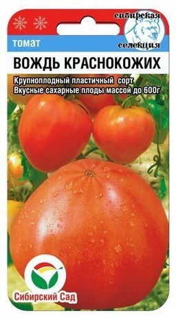 Вождь Краснокожих томат 20шт (сс)