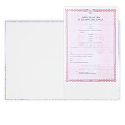 Папка для свидетельства о заключении брака Мы стали семьёй, цветы, А4 - Долго и счастливо фото 5