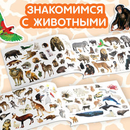 100 наклеек Животные со всего света, 12 стр. - Буква-ленд фото 9
