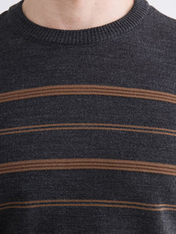 Bisiklet Yaka ?izgili Erkek Triko Kazak