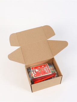 Подарочный набор новогодний, 16 ручек, 16 открыток, 16 блокнотов