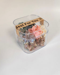 Набор крабиков для волос в боксе (10 шт)