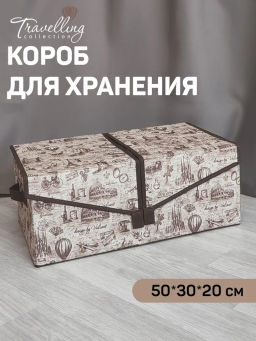 Короб стеллажный 2-х секционный, 50*30*20 см, TRAVELLING, шт