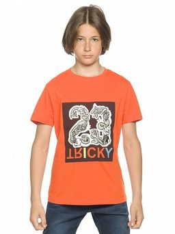 Pelican BFT4215/2 футболка для мальчиков