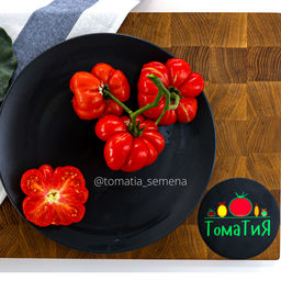 Рейсетомейт - Tomatia фото 2