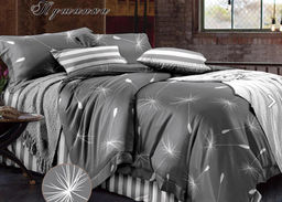 Абсолют - Эльф фото 27