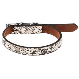 Пэт тойс (Pet toys) Ошейник для собаки Рептилия 1,5х39см, металлическая застежка, под кожу, металл декор, на картоне, цвета в ассортименте: красный, бордовый, синий, черный, коричневый, черно-белый (Китай)