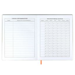 Дневник школьный арт. 58748 / 15 СПИЧКА - Феникс+ фото 5