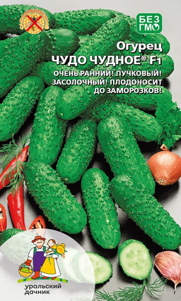 Огурец ЧУДО ЧУДНОЕ® F1 Очень ранний, пучковый, засолочный! Плодоносит до заморозков!