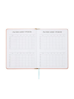 Дневник школьный 1-11 класс, лассе, обложка искуственная кожа бежевая, резинка для ручки