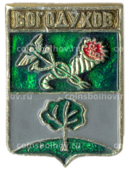 Значок Богодухов