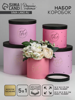 Набор коробок для цветов 5 в 1, упаковка подарочная, Чёрно-розовые, 14?14?13 см - 22?22?19.5 см