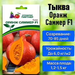 Тыква Оранж Саммер - Партнер фото 8