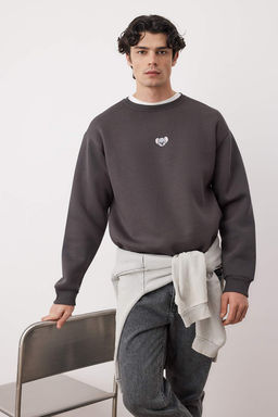 Antrasit Bisiklet Yaka Oversize/Genis Kesim Ici Polarl? Penguen Nak?s Sweatshirt TMNAW24SW00064