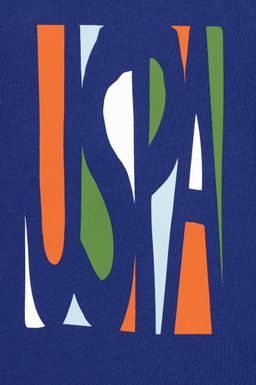 Синяя футболка с круглым вырезом для мальчиков - U.s. polo assn фото 3