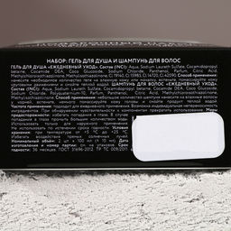 Подарочный набор новогодний мужской «Успехов в году»: гель для душа и шампунь для волос, 2×100 мл, Чистое счастье