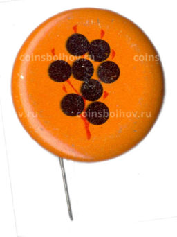 Значок Черная смородина