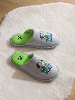 Minecraft Bask?l? Ev Terli?i