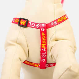 Комплект GlaМууур, шлейка 26-39 см, поводок 120х1 см - Пушистое счастье фото 2