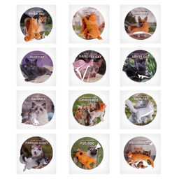 Игрушка-сюрприз Питомцы, МИКС - Simaland фото 6