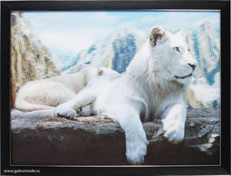 Картина 5D 30х40 2037 Белый лев / KS1912-3 /
