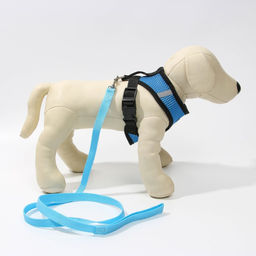 Шлейка дышащая с поводком и светоотражающей нашивкой, S, ОШ 27, ОГ 30-38, синяя - Пушистое счастье фото 6