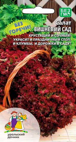 Салат ВИШНЁВЫЙ САД Хрустящий и сочный! Без горечи! Украсит как праздничный стол, так и клумбы и дорожки в саду!