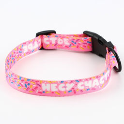 Ошейник Несу счастье, застёжка - фастекс, 2 см 25-40 см - Пушистое счастье фото 4