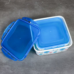 Салатник 4 штуки квадратный с крышками / 133 /уп 48/ 350, 800, 1300, 2100 мл - Галеонтрейд фото 9