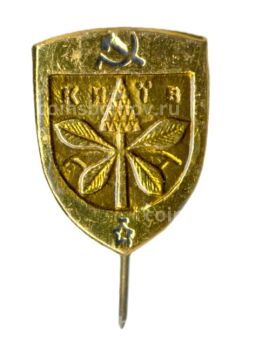 Значок Киев