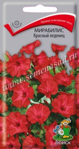 Мирабилис (ялапа) Красный леденец (ЦВ) (1) 1гр.