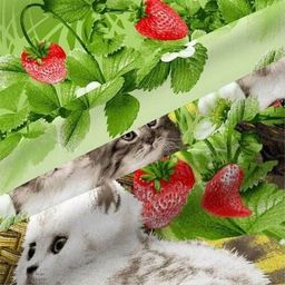 КПБ Котята бязь хлопок 100% 1, 5 сп. - Лен поволжья фото 4