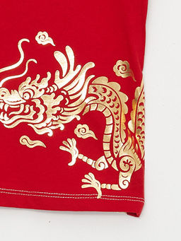 Bisiklet Yaka Bask?l? Erkek Bebek Ti??rt - Waikiki фото 3