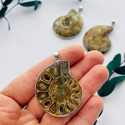 bbf4787199bbddc5395d3ae590ef5e72ecuw7fgttlymkxj06