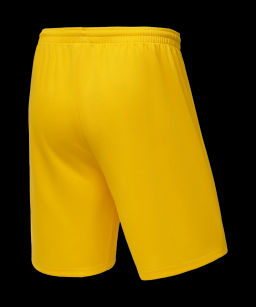 Шорты баскетбольные JOGEL CAMP Basic, желтый