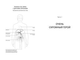 Помогите своей печени. Как сохранить здоровье важнейшего органа надолго. Перлемутер Г. - Колибри фото 5
