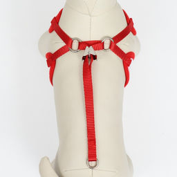 Комплект с мягкой шлейкой и бантиком, размер L, поводок 120 x 1,5 см, ОГ 35-50 см, красный - Пижон фото 7