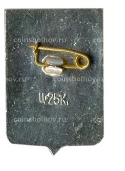 Значок Боровичи