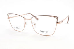 BAOLYN 1021B C2 55-17-140