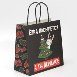 Пакет подарочный А ты держись, 22 22 11 см - Дарите счастье фото 2