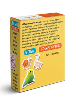 Развивающая игра на магнитах «Мир вокруг меня», 60 деталей, 3+