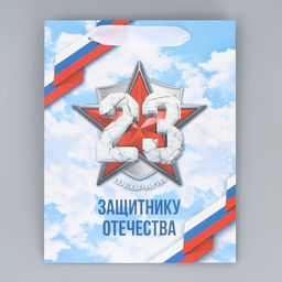 Цена за 2 шт. Пакет подарочный ламинированный, упаковка, С 23 февраля, MS 18?23?10 см