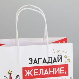 Пакет подарочный новогодний «Загадай желание», 22 х 22 х 11 см