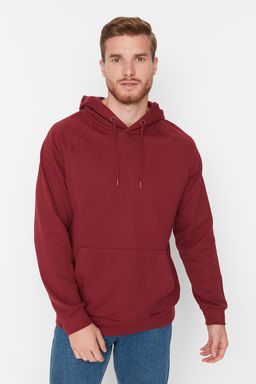 TRENDYOL MAN Gri Regular/Normal Kesim Kapusonlu Ici Polar/S?cak Tutan Sweatshirt TMNAW23SW00194 - Trendyolmilla фото 22