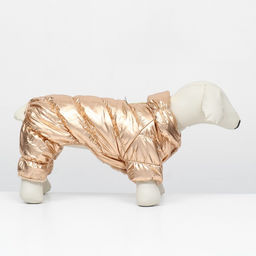 Комбинезон Блеск, размер XS (ДС 19 см, ОГ 28, ОШ 19 см, до 3 кг), золотой - Simaland фото 2