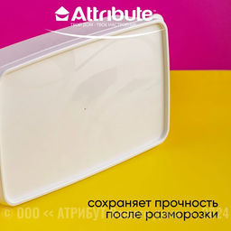 Контейнер для заморозки ALASKA 2.1л белый