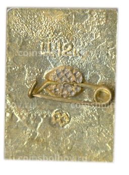 Значок София Киевская